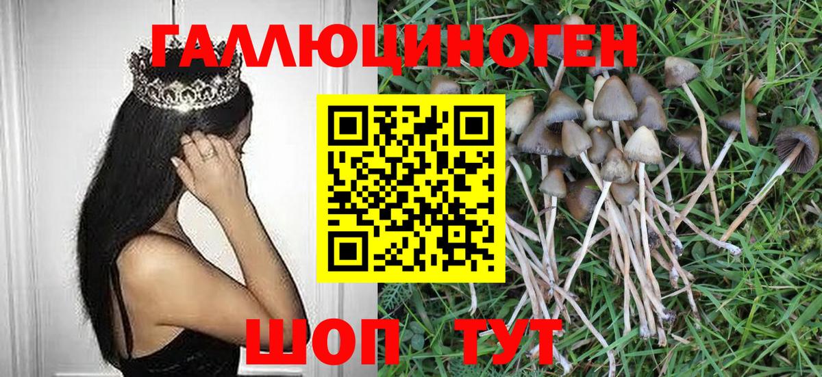 Псилоцибиновые грибы мухоморы  Псилоцибиновые грибы мухоморы  Вход с VPN  дарнет шоп  Славгород 